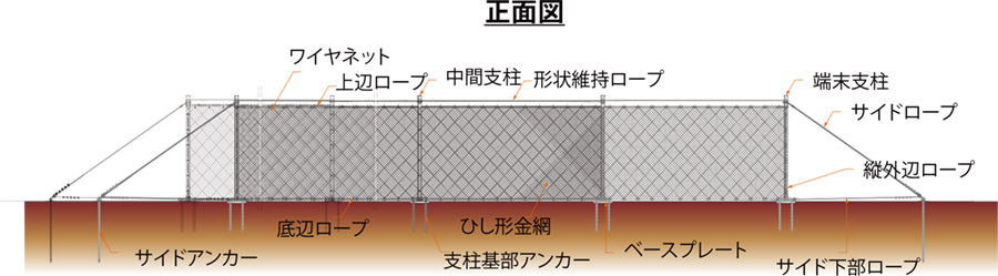 正面図