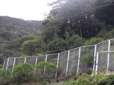 急傾斜地崩壊対策工事(大和浜5地区R5-2工区)